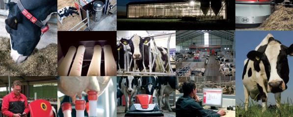 For your dairy needs